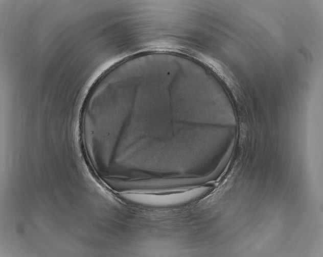 X0000111161331200907281145