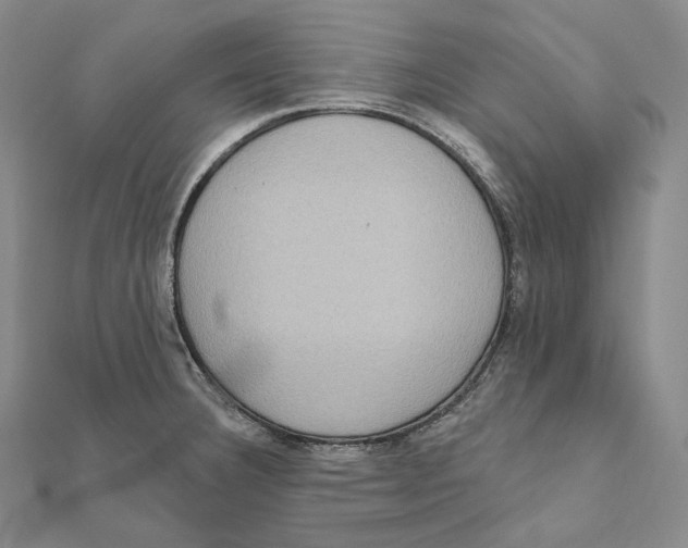 X0000111161332200907281145