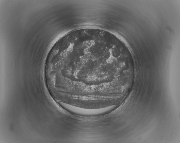 X0000111161333200907281145