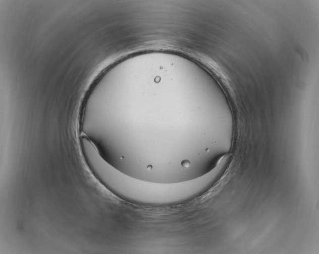 X0000111161334200907281145