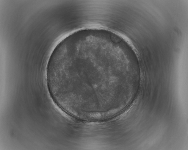 X0000111161335200907281145