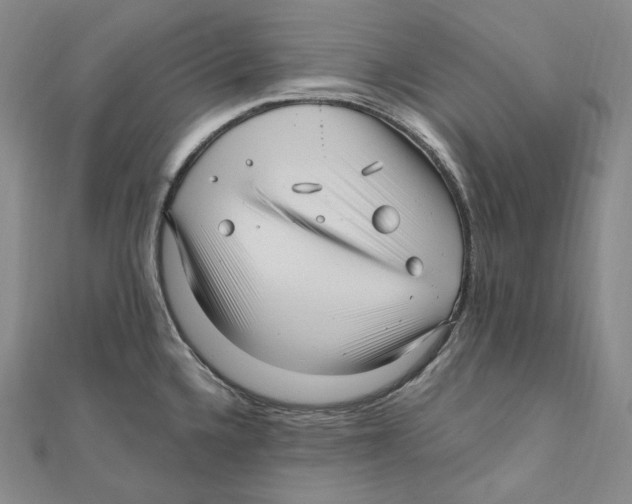 X0000111161336200907281145