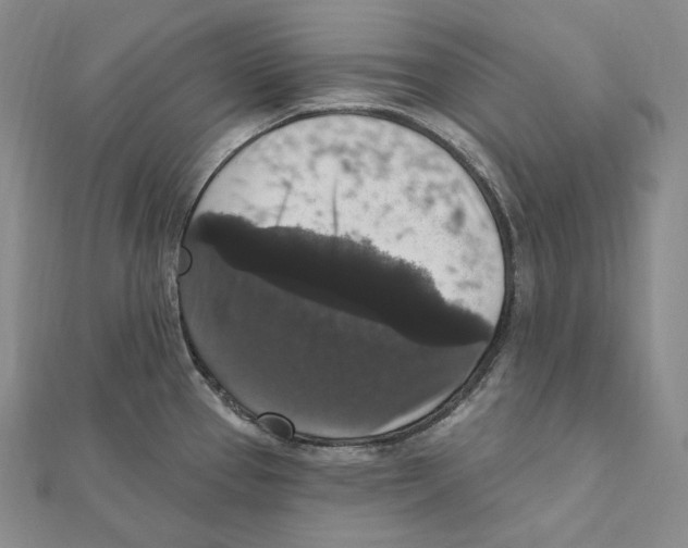 X0000111161337200907281145