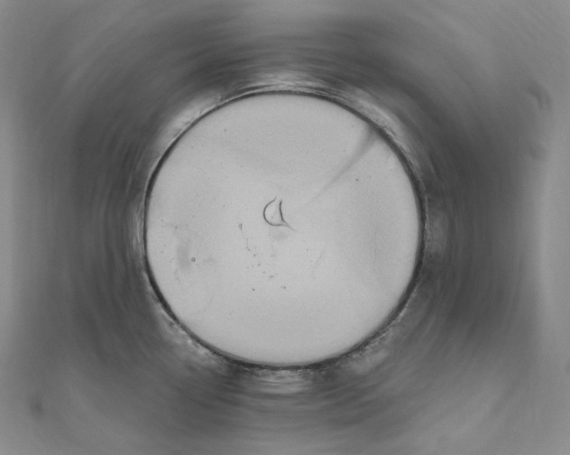 X0000111161338200907281145