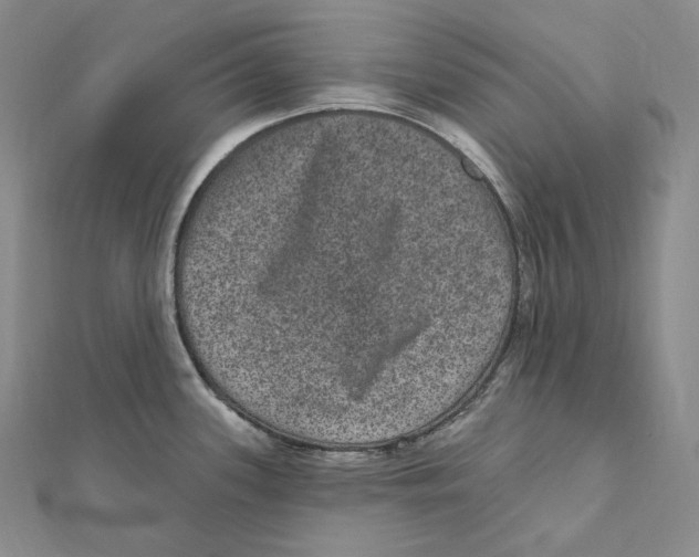 X0000111161339200907281145