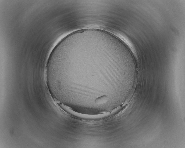 X0000111161340200907281145