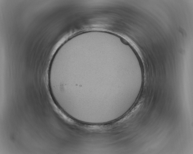 X0000111161341200907281145