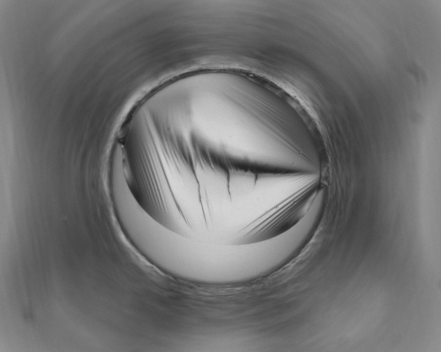 X0000111161342200907281145