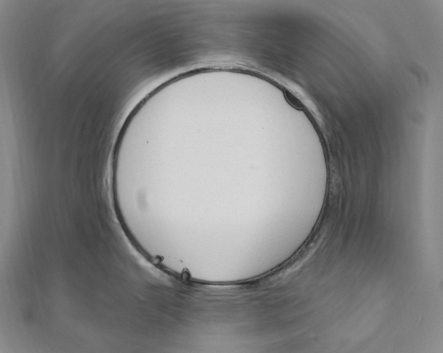 X0000111161343200907281145