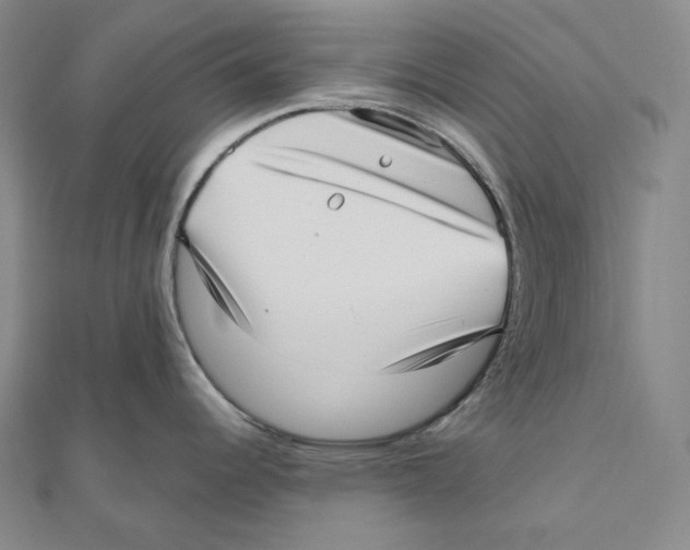 X0000111161344200907281145