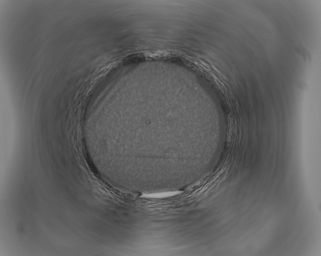 X0000111161345200907281144