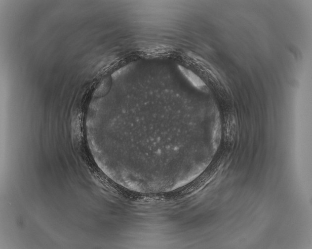 X0000111161346200907281144