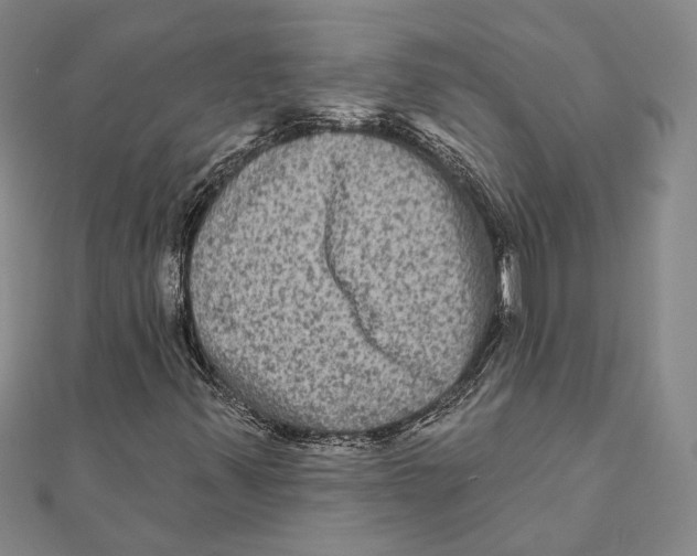 X0000111161347200907281144