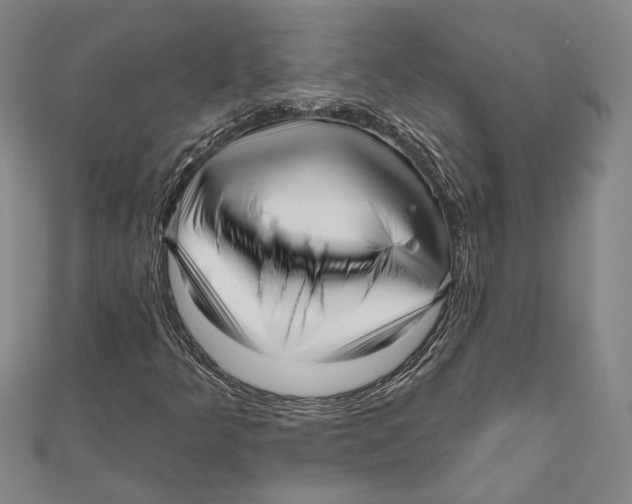 X0000111161349200907281144