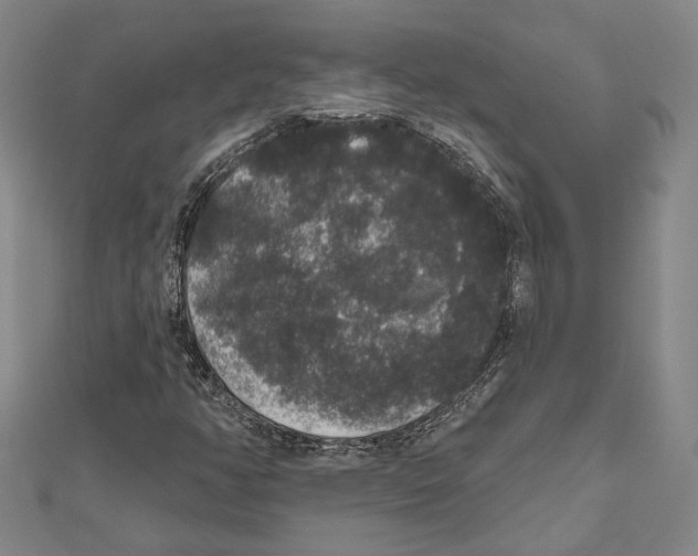 X0000111161350200907281144