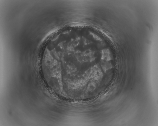 X0000111161351200907281144