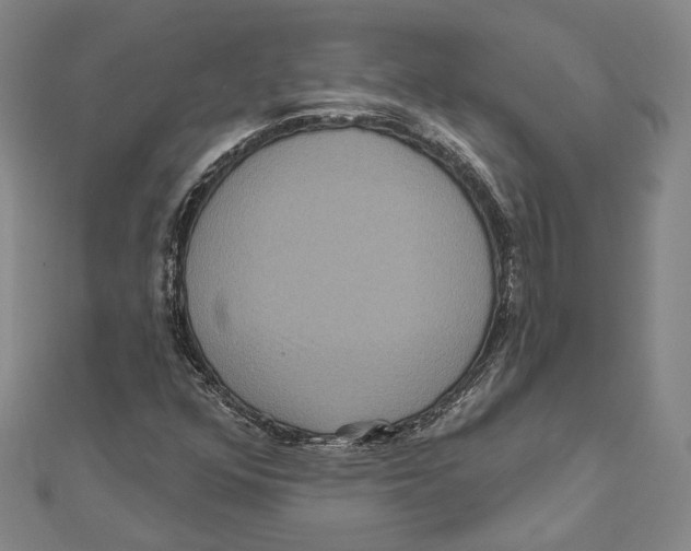 X0000111161352200907281144