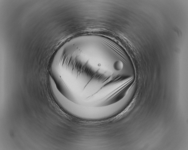 X0000111161353200907281144