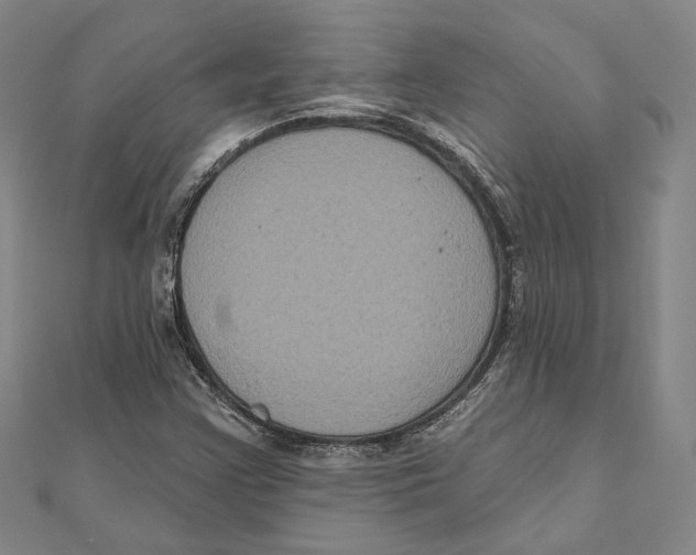 X0000111161355200907281144