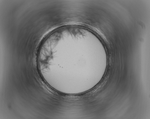 X0000111161356200907281144