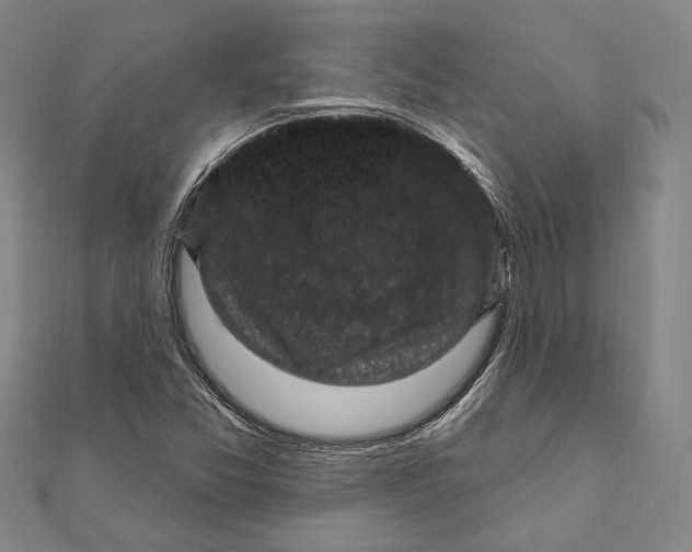 X0000111161357200907281144