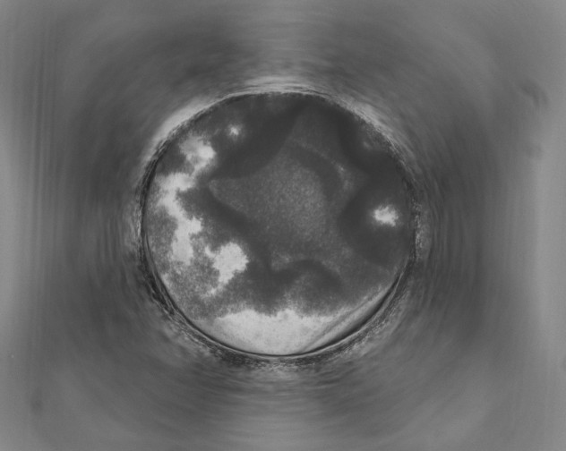 X0000111161358200907281144