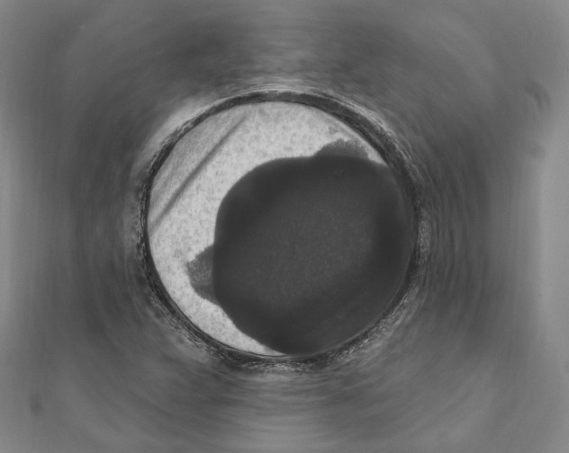 X0000111161359200907281144