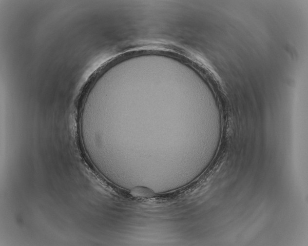 X0000111161360200907281144