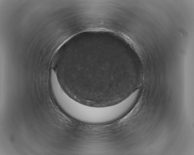 X0000111161361200907281144