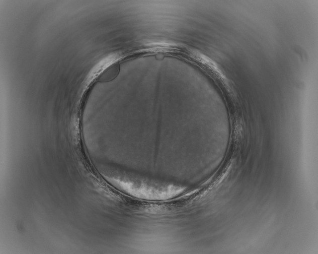 X0000111161362200907281144