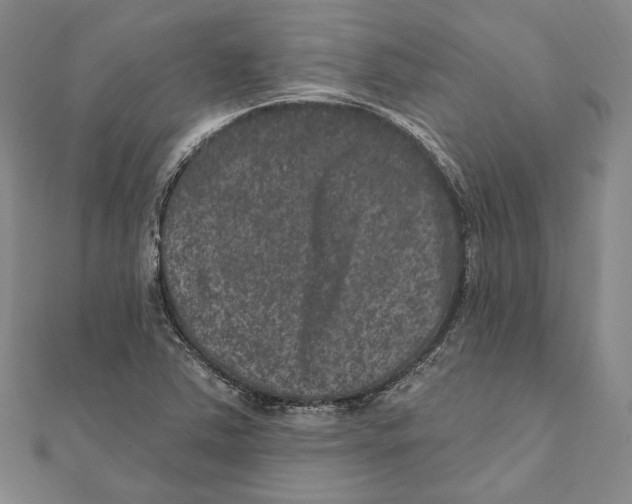 X0000111161363200907281144