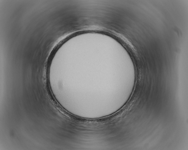 X0000111161364200907281144