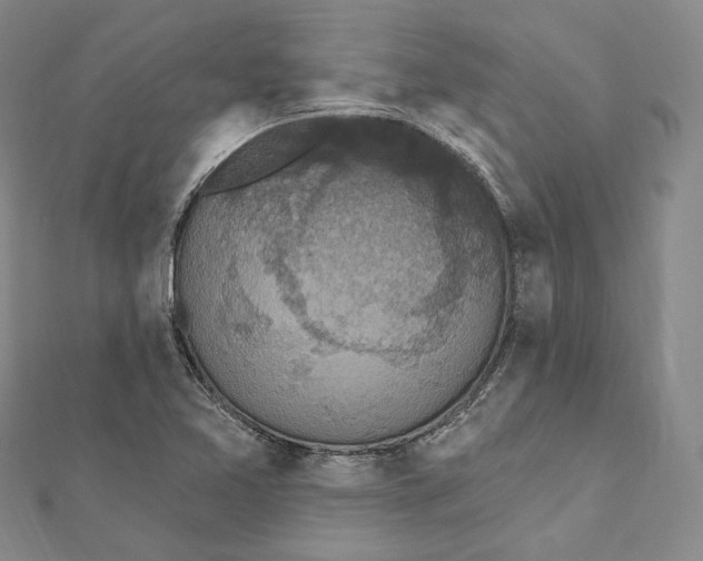 X0000111161365200907281144