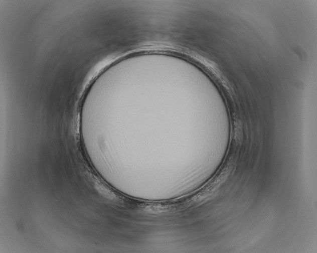 X0000111161366200907281144