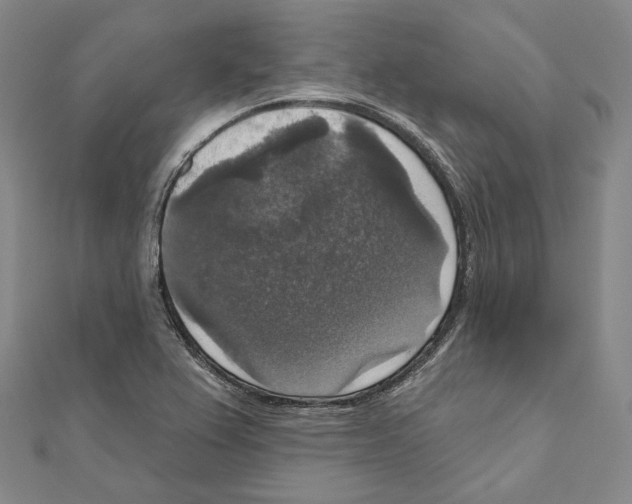 X0000111161367200907281144