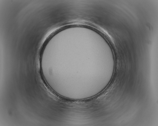 X0000111161368200907281144