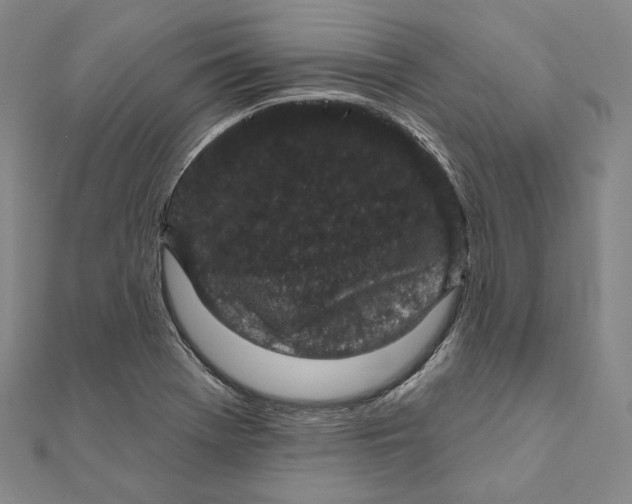 X0000111161369200907281144