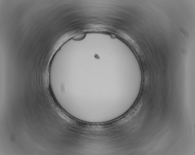 X0000111161370200907281144