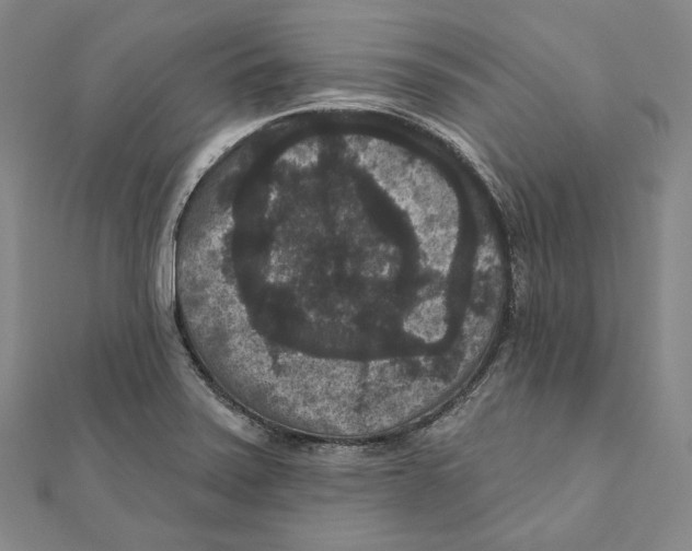 X0000111161371200907281144