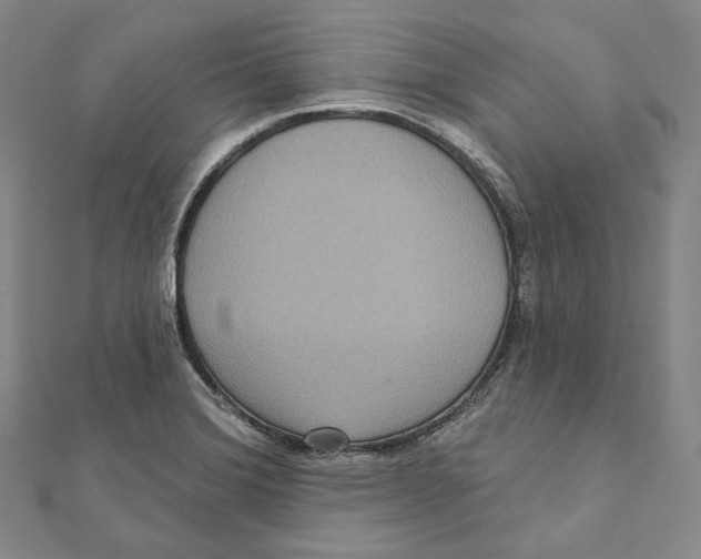 X0000111161372200907281144