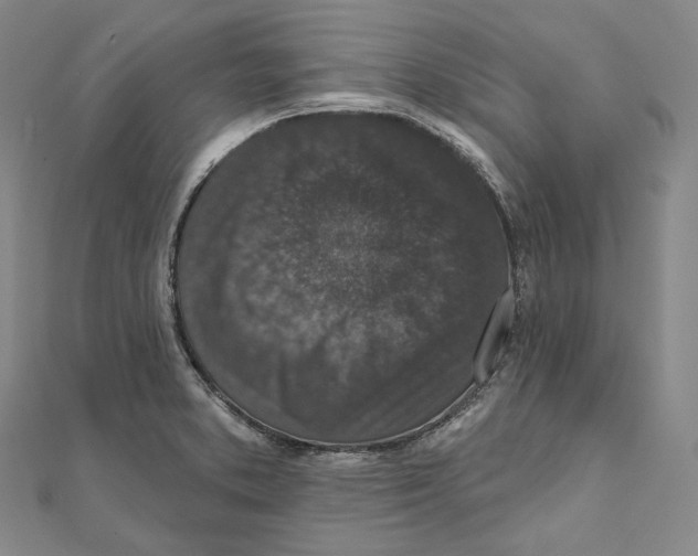 X0000111161373200907281144