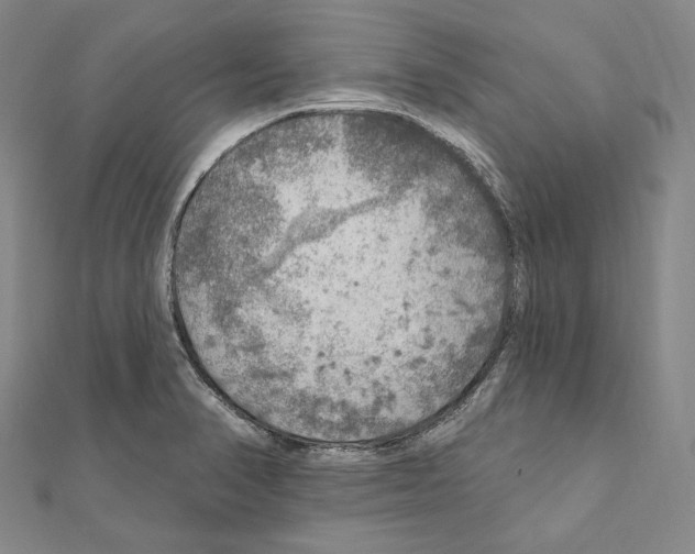 X0000111161374200907281144