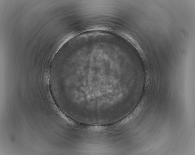 X0000111161377200907281144