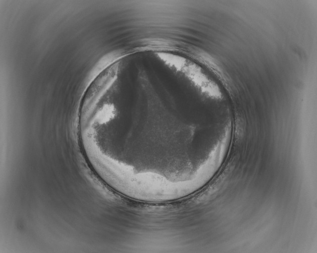 X0000111161378200907281144