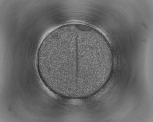 X0000111161379200907281144