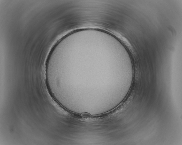 X0000111161380200907281144