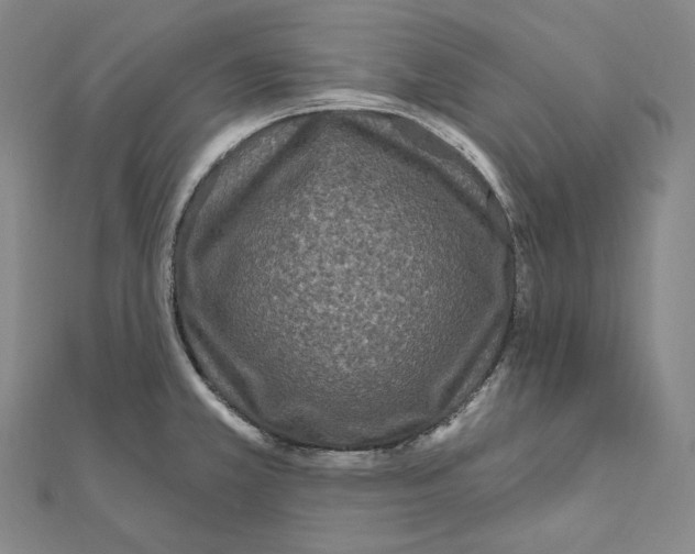 X0000111161381200907281144