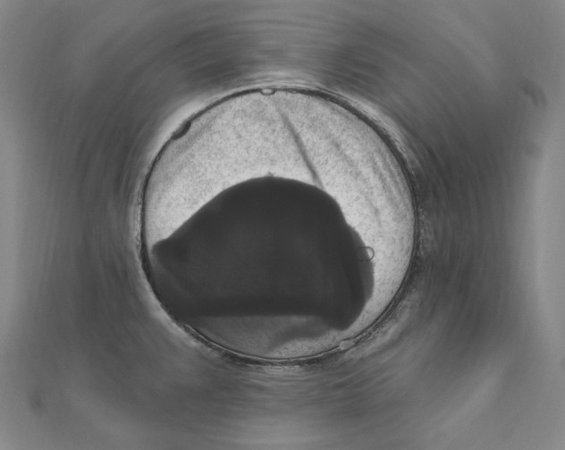 X0000111161383200907281144