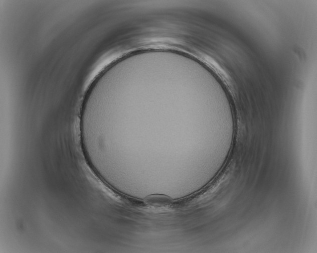 X0000111161384200907281144