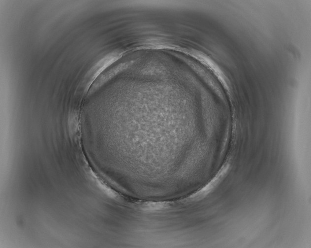 X0000111161385200907281144